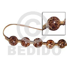 Round 35mm cowrie tiger shell Belts