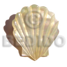 MOP shell design brooch - Brooch