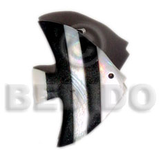 Inlaid angelfish brooch troca black tab Brooch