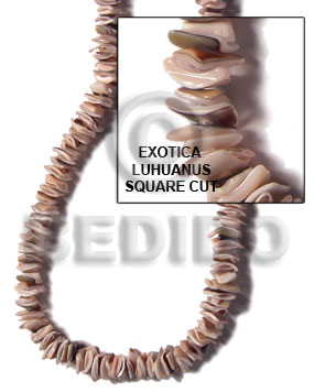 exotica luhuanus square cut - Crazy Cut Shell Beads
