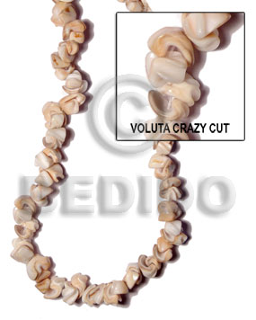 Voluta crazy cut Crazy Cut Shell Beads
