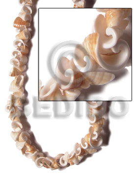Everlasting conus Crazy Cut Shell Beads