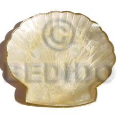 Capiz clam shaped plate 8x8 Gifts & Home Table Decor Set