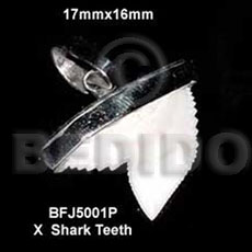 encasted x shark teeth pendant 20mmx18mm- approximate 17mmx16mm- tooth sizes could vary - Horn Pendant Bone Pendants
