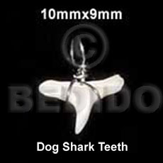 dog shark teeth pendant 10mmx9mm- approximate 10mmx9- tooth sizes could vary - Horn Pendants