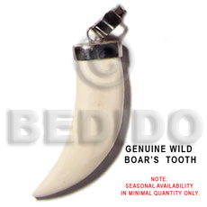 wild boars tooth - Horn Pendants