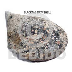 ra unpolished blacktab shells / per kilo - Raw Shells