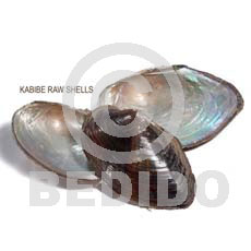 ra unpolished kabibe hells / per kilo - Raw Shells