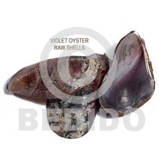ra unpolished violet oyster shells / per kilo - Raw Shells
