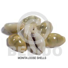 Loose monita shells no Raw Shells