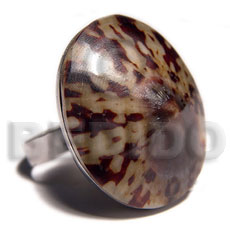 big accent haute hippie oval 28mmx24mm / adjustable metal ring/  polished limpet shell /set for bfj530bl - Rings