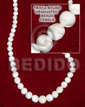 troca  round graduated beads ( female) - Shell Beads