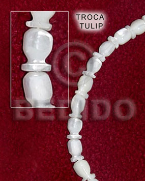 Troca tulip Shell Beads