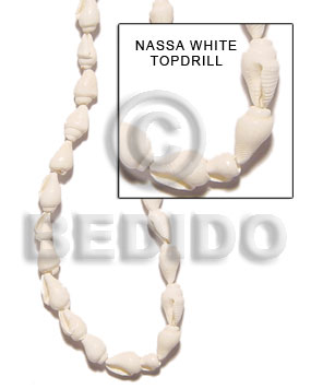 Nassa white topdrill 32 in. Shell Beads