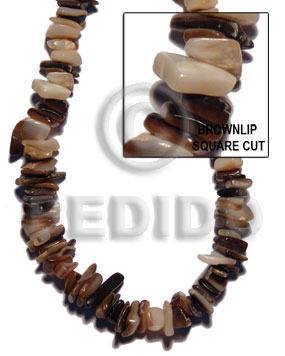 Brownlip square cut Shell Beads