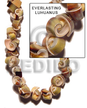green everlasting luhuanus - Shell Beads