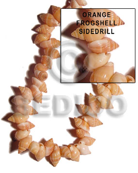 Orange frog shell sidedrill Shell Beads