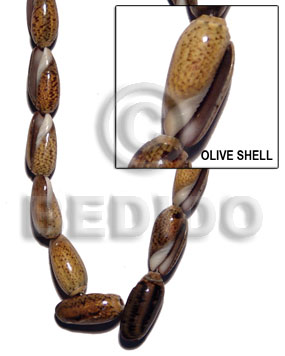 olive shell whole - Shell Beads