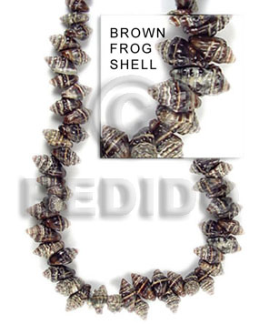 Frog shell brown medium Shell Beads