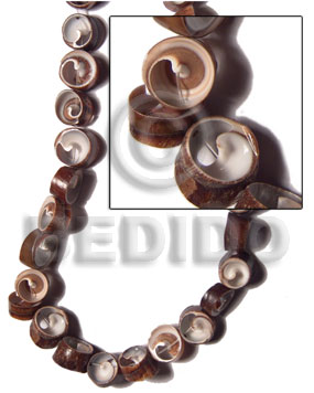 Brown vertagus wheel Shell Beads