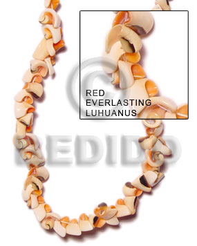 red everlasting luhuanus - Shell Beads