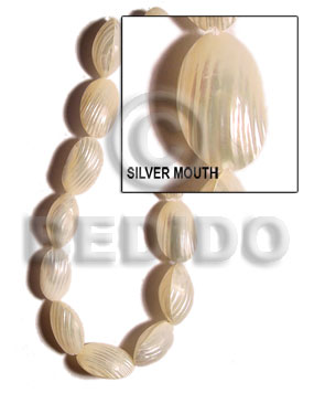 Silver mouth Shell Beads