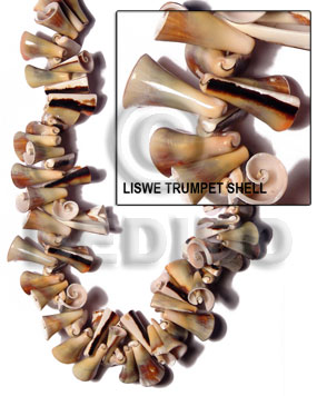 Liswe trumpet shell Shell Beads