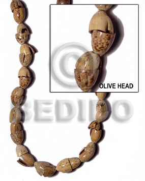 Olive head Shell Beads