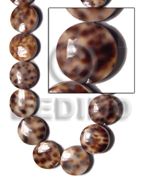 20mm round back to back cowrie tiger coins / 20 pcs - Shell Beads