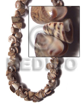 Everlasting olive shell Shell Beads