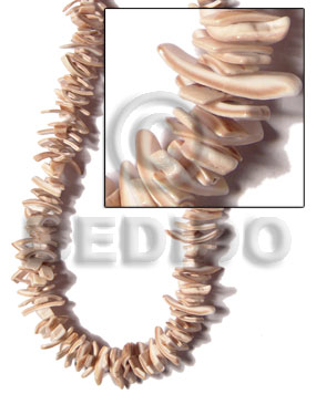 Voluta mini sticks 17mm Shell Beads