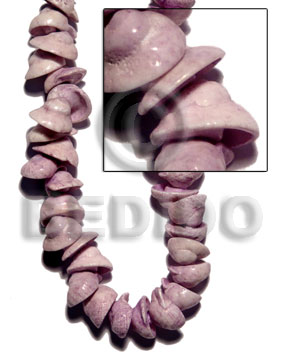 cebu beauty head / big - Shell Beads
