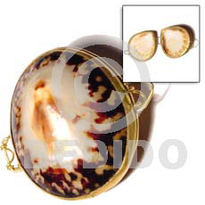 limpit shell coin purse - Shell Coin Purse