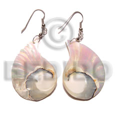 Dangling flat nautilus teardrop Shell Earrings