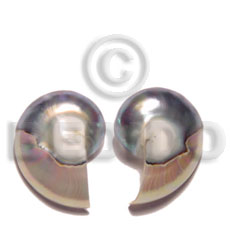 nautilus earrings - Shell Earrings