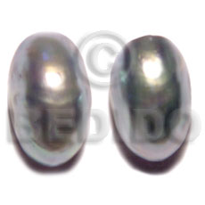nautilus shell earrings - Shell Earrings