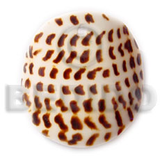 Flat round cunos head Shell Pendant