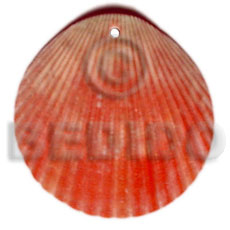 red piktin clam - Shell Pendant