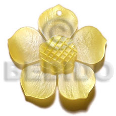 graduated yellow 30mm hammershell flower  grooved nectar - Shell Pendant