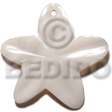 45mm kabibe shell star  rounded edges - Shell Pendant