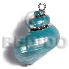 Turquoise turbo shell approx. Shell Pendant