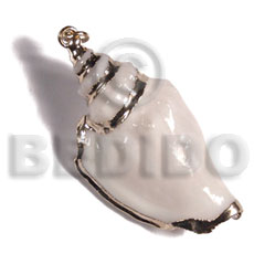 White canarium approx. 45mm Shell Pendant