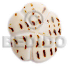 45mm scallop  groove cunos - Shell Pendants