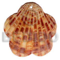 piktin scallop - Shell Pendants