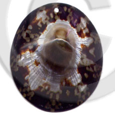 Limpit oval Shell Pendants