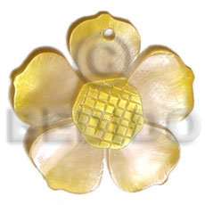 graduated yellow 25mm hammershell flower  grooved nectar - Shell Pendants