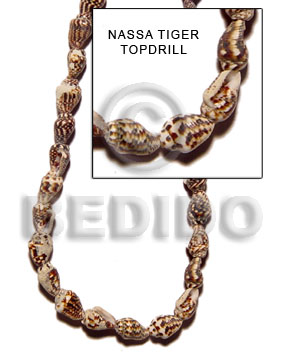 nassa tiger topdrill - Whole Shell Beads