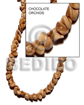 chocolate orchids shell - Whole Shell Beads