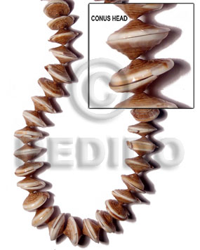conus head - Whole Shell Beads