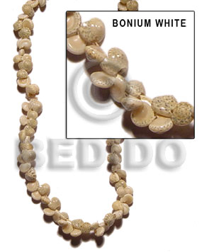 Bonium white Whole Shell Beads